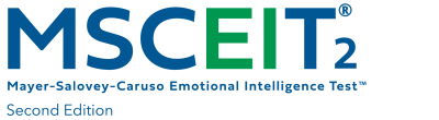 msceit2-logo-full-report-horizontal-283